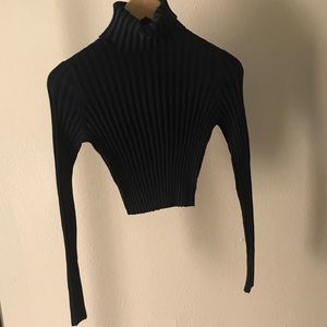 Cropped turtle neck